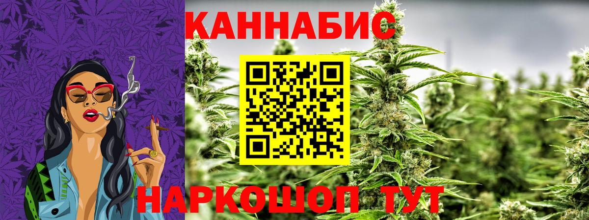 Шишки марихуана планчик Кашира